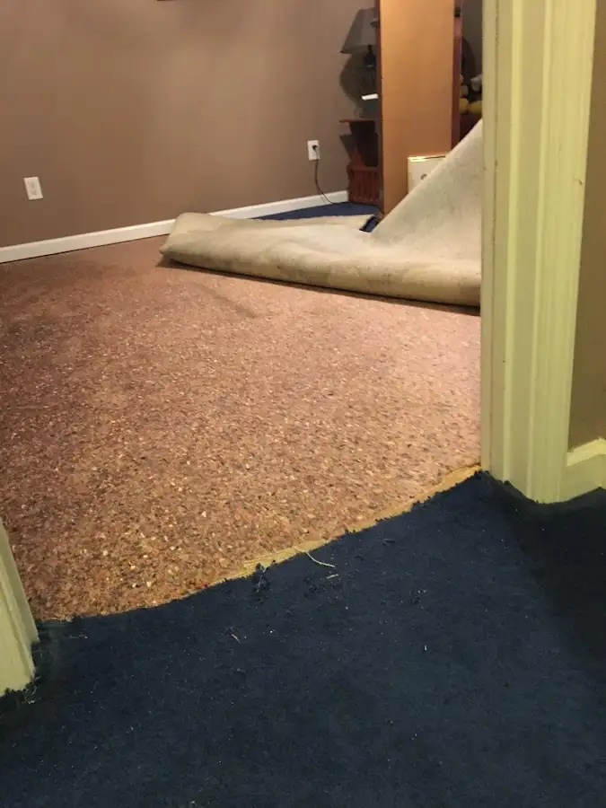 Carpet pad removal revealing water damage during Water Mitigation Services in Plumstead