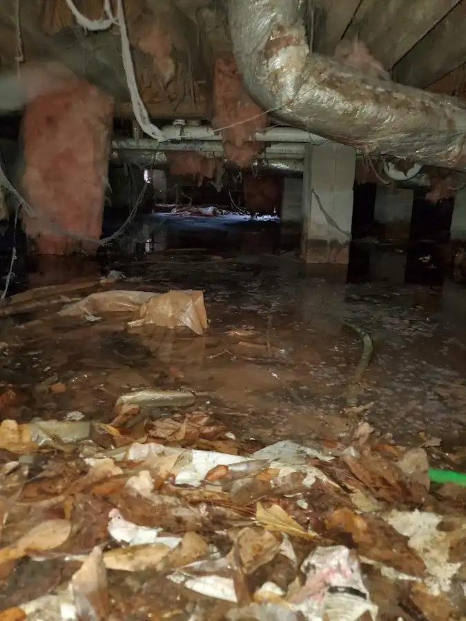 Crawl space flood assessment for Leak Detection & Repair in Plumstead