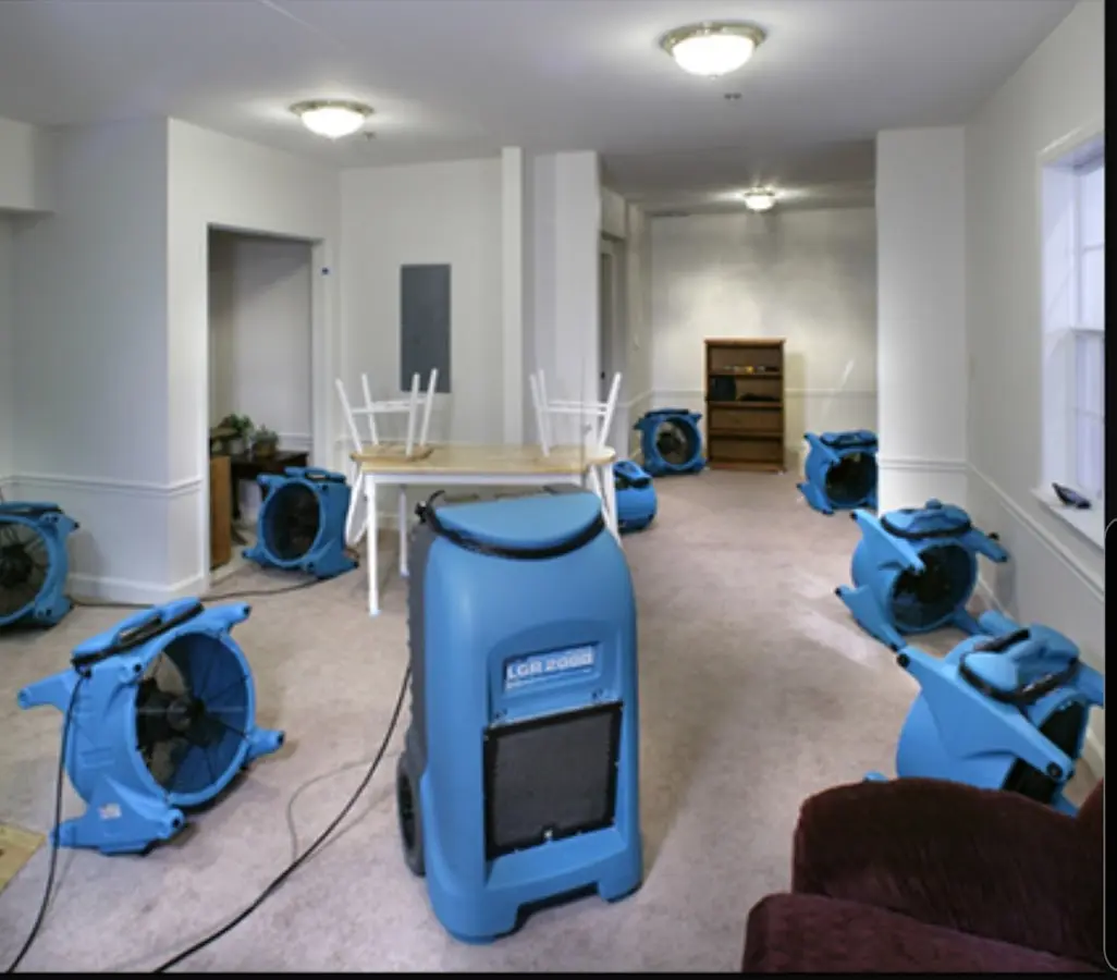 Air movers and dehumidifier setup for Water Extraction & Removal in Plumstead